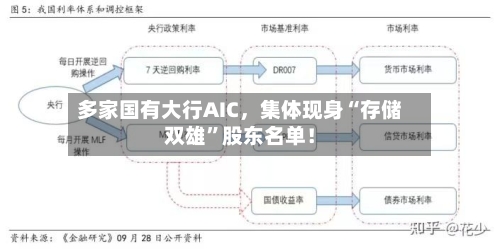 多家国有大行AIC	，集体现身“存储双雄	”股东名单！-第2张图片