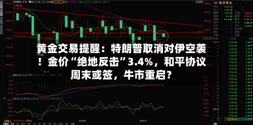 黄金交易提醒：特朗普取消对伊空袭！金价“绝地反击	”3.4%，和平协议周末或签，牛市重启？-第2张图片