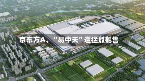 京东方A、“易中天”遭猛烈抛售-第3张图片
