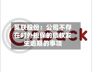 英联股份:公司不存在对外担保的债权发生逾期的事项-第2张图片