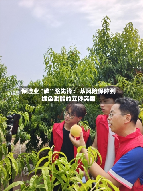 保险业“碳	”路先锋： 从风险保障到绿色赋能的立体突围-第3张图片