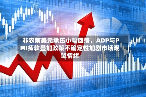 非农前美元承压小幅回落	，ADP与PMI疲软叠加政策不确定性加剧市场观望情绪-第3张图片