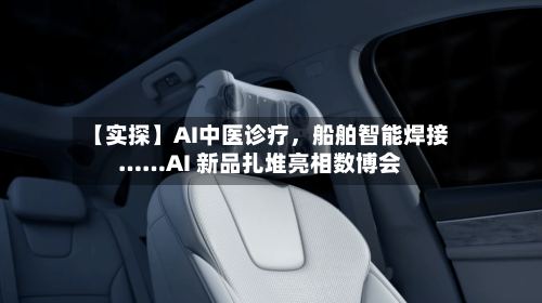 【实探】AI中医诊疗，船舶智能焊接……AI 新品扎堆亮相数博会-第2张图片