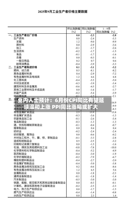 业内人士预计：6月份CPI同比有望延续温和上涨 PPI同比涨幅或扩大