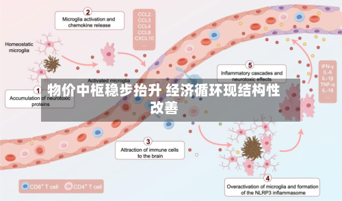 物价中枢稳步抬升 经济循环现结构性改善