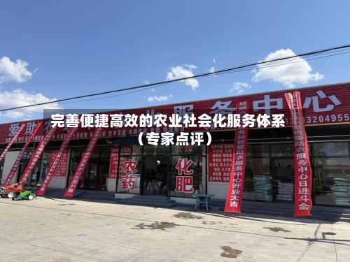 完善便捷高效的农业社会化服务体系（专家点评）