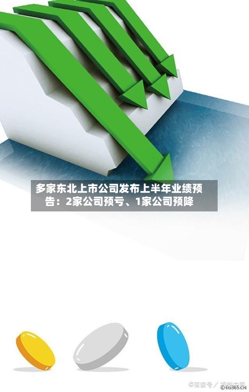 多家东北上市公司发布上半年业绩预告：2家公司预亏	、1家公司预降-第2张图片