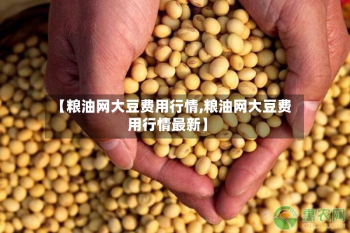 【粮油网大豆费用行情,粮油网大豆费用行情最新】-第1张图片
