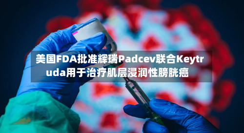 美国FDA批准辉瑞Padcev联合Keytruda用于治疗肌层浸润性膀胱癌-第1张图片