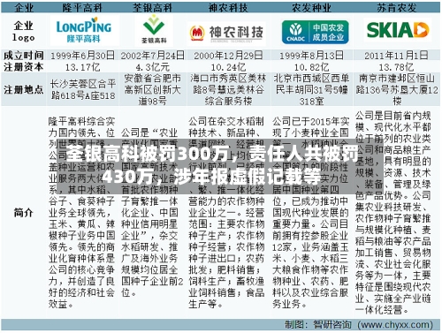 荃银高科被罚300万，责任人共被罚430万	，涉年报虚假记载等-第2张图片