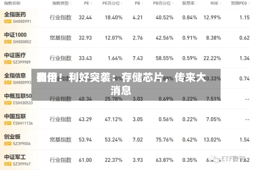 费用
翻倍!利好突袭:存储芯片,传来大消息