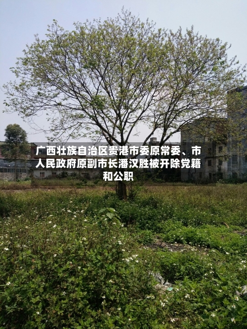 广西壮族自治区贵港市委原常委、市人民政府原副市长潘汉胜被开除党籍和公职