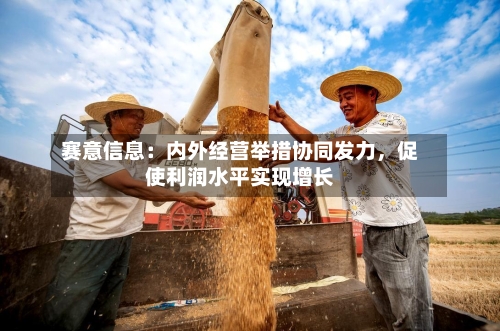 赛意信息:内外经营举措协同发力,促使利润水平实现增长