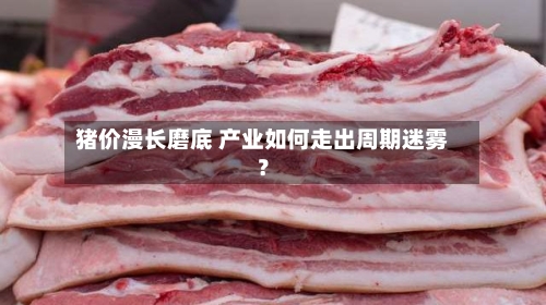 猪价漫长磨底 产业如何走出周期迷雾?