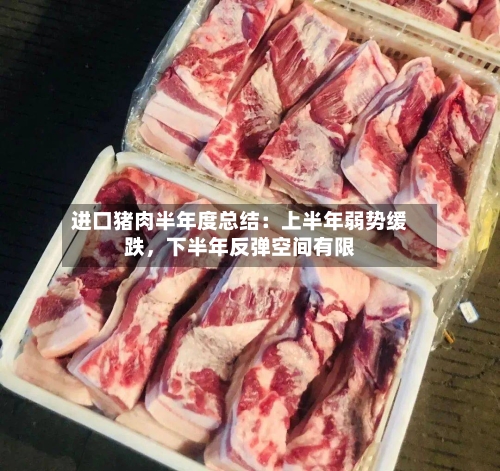 进口猪肉半年度总结：上半年弱势缓跌，下半年反弹空间有限-第2张图片