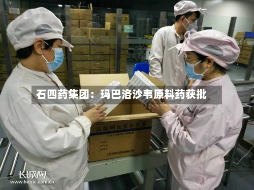 石四药集团:玛巴洛沙韦原料药获批-第2张图片