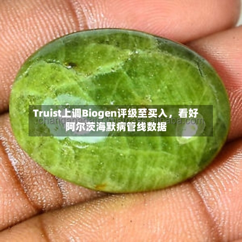 Truist上调Biogen评级至买入，看好阿尔茨海默病管线数据-第2张图片