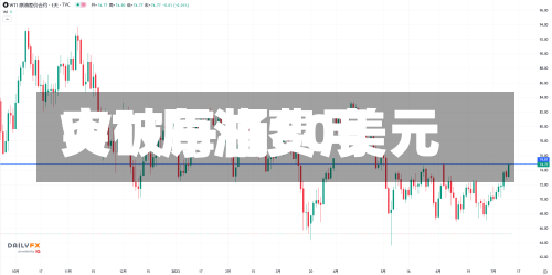 WTI原油费用
突破每桶80美元