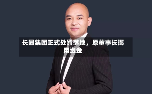长园集团正式处罚落地,原董事长挪用资金
