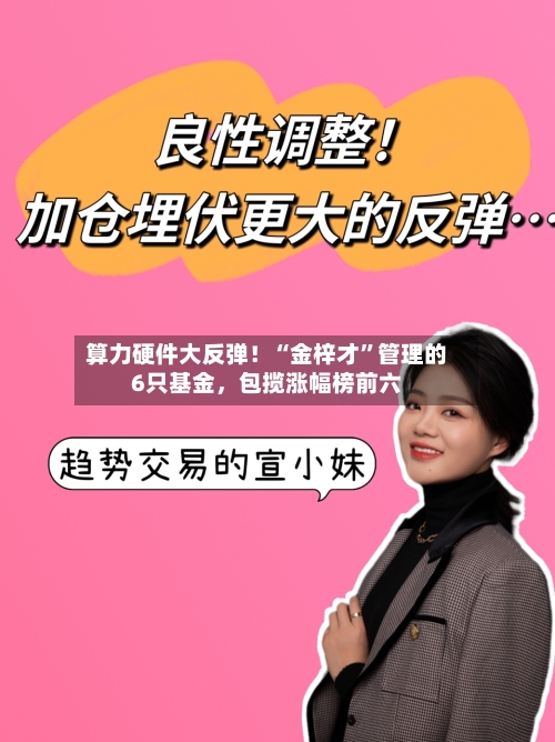 算力硬件大反弹！“金梓才	”管理的6只基金，包揽涨幅榜前六-第2张图片