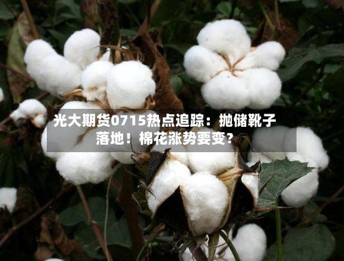 光大期货0715热点追踪:抛储靴子落地!棉花涨势要变?-第2张图片