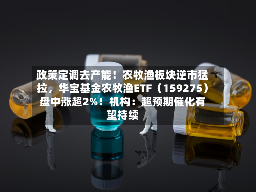 政策定调去产能!农牧渔板块逆市猛拉,华宝基金农牧渔ETF(159275)盘中涨超2%!机构:超预期催化有望持续