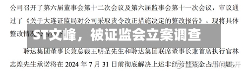 ST文峰,被证监会立案调查