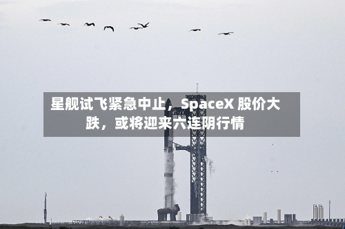 星舰试飞紧急中止	，SpaceX 股价大跌，或将迎来六连阴行情-第3张图片