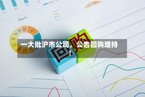 一大批沪市公司，公告回购增持！-第3张图片