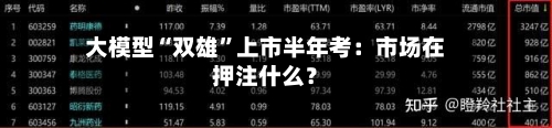 大模型“双雄	”上市半年考：市场在押注什么？-第3张图片