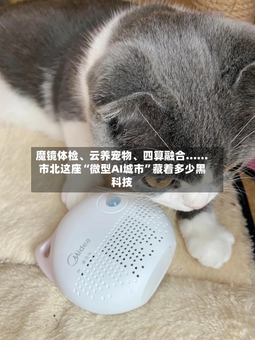 魔镜体检、云养宠物、四算融合……市北这座“微型AI城市”藏着多少黑科技