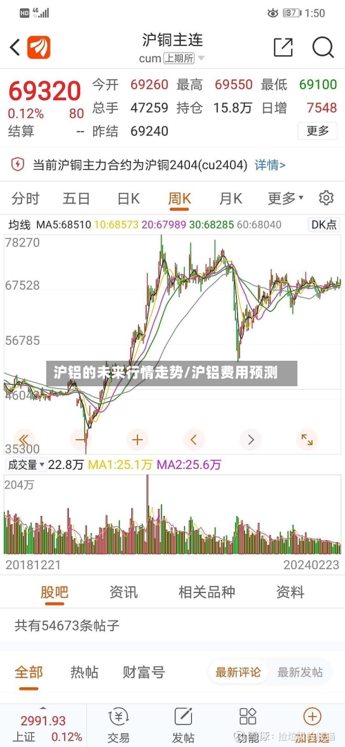 沪铝的未来行情走势/沪铝费用预测-第1张图片