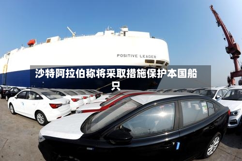 沙特阿拉伯称将采取措施保护本国船只