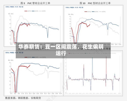 华泰期货：豆一区间震荡	，花生偏弱运行-第1张图片