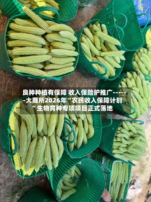 良种种植有保障 收入保险护推广------大商所2026年“农民收入保障计划”生物育种专项项目正式落地-第1张图片