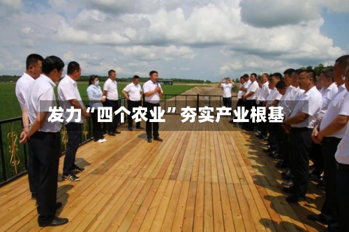 发力“四个农业	”夯实产业根基-第2张图片