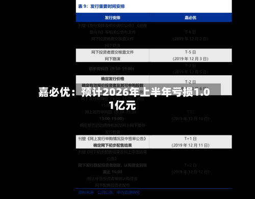 嘉必优:预计2026年上半年亏损1.01亿元-第2张图片
