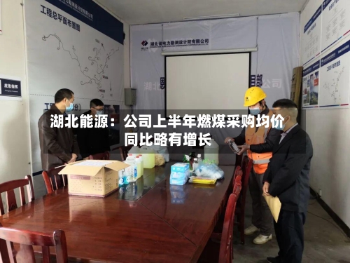 湖北能源:公司上半年燃煤采购均价同比略有增长