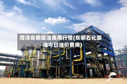 菏泽东明柴油费用行情(东明石化柴油今日油价费用)