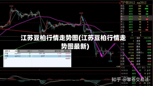 江苏豆柏行情走势图(江苏豆柏行情走势图最新)-第1张图片