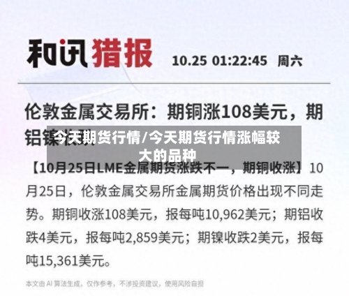 今天期货行情/今天期货行情涨幅较大的品种