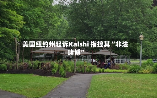 美国纽约州起诉Kalshi 指控其“非法赌博”-第2张图片