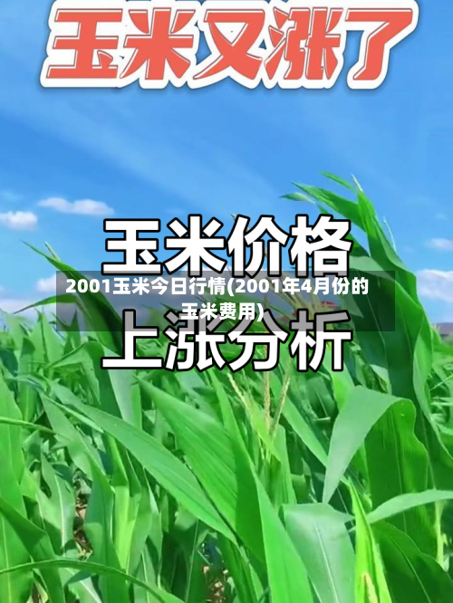 2001玉米今日行情(2001年4月份的玉米费用)
