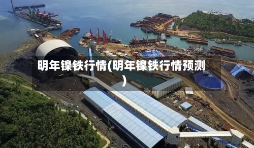 明年镍铁行情(明年镍铁行情预测)-第3张图片