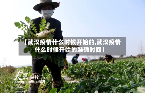 【武汉疫情什么时候开始的,武汉疫情什么时候开始的准确时间】-第3张图片
