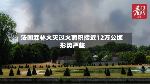 法国森林火灾过火面积接近12万公顷 形势严峻-第2张图片