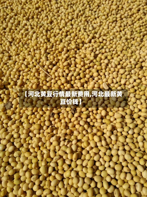 【河北黄豆行情最新费用,河北最新黄豆价钱】-第2张图片