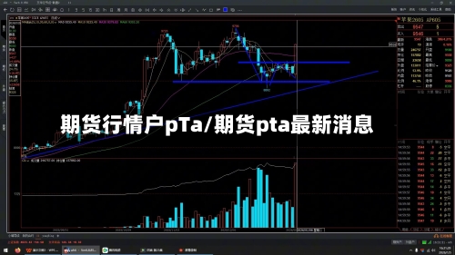 期货行情户pTa/期货pta最新消息