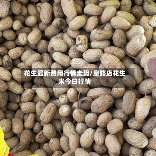 花生最新费用行情走势/皇路店花生米今日行情