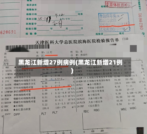 黑龙江新增27例病例(黑龙江新增21例)